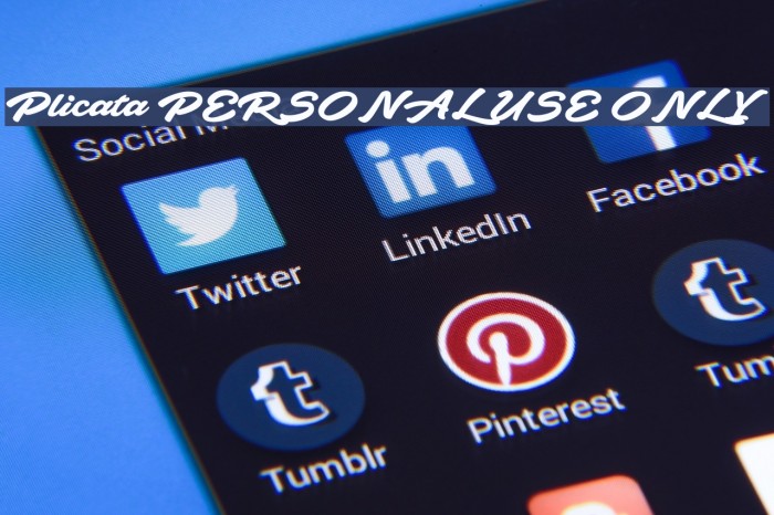 Plicata PERSONAL USE ONLY Example 1