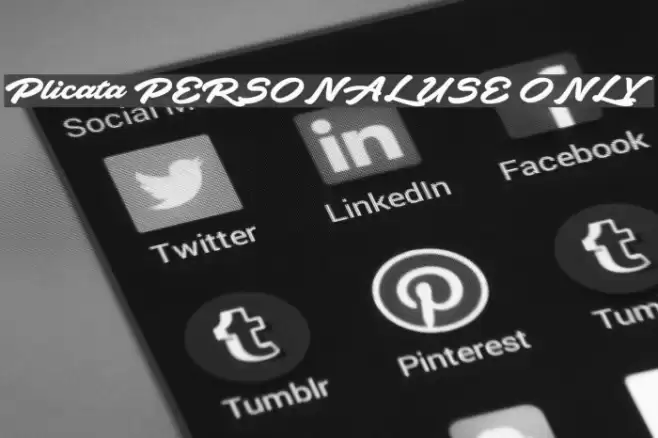 Plicata PERSONAL USE ONLY Font examples