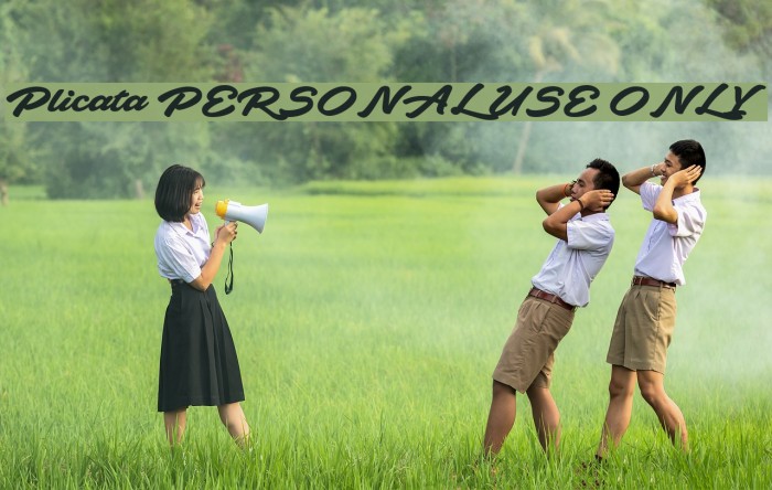 Plicata PERSONAL USE ONLY Example 2