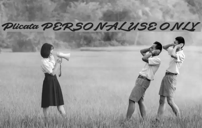 Plicata PERSONAL USE ONLY Font examples