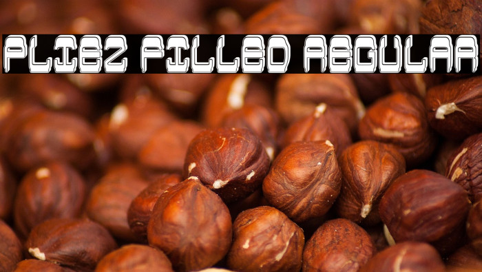 Pliez Filled Regular Example 1