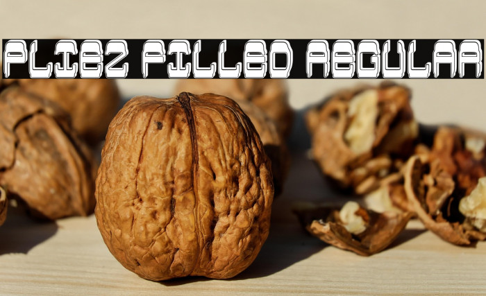 Pliez Filled Regular Example 2