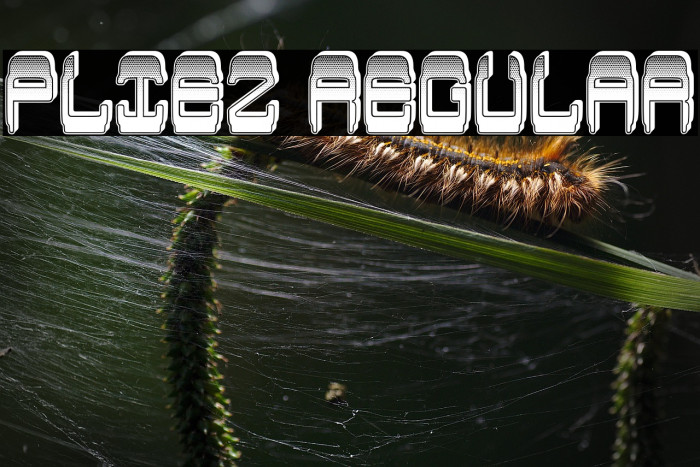 Pliez Regular Example 2