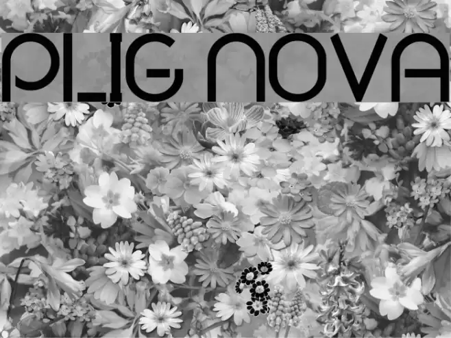 Plig nova Font examples