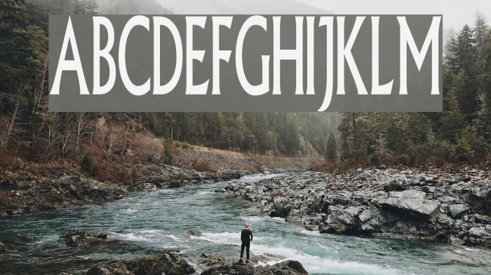 Pliskin Snake-Eyes Font examples