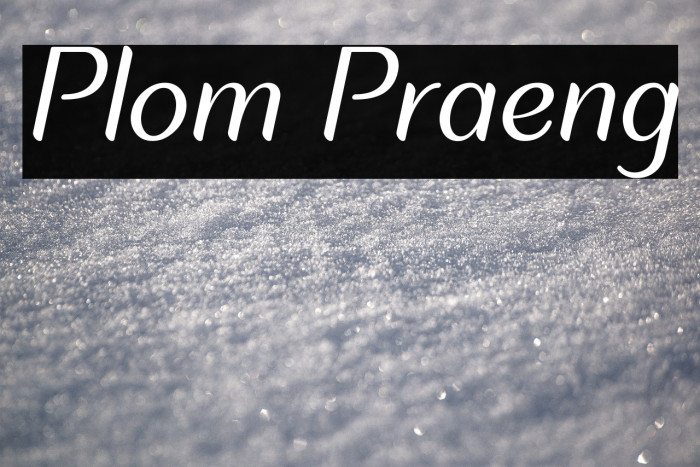 Plom Praeng Example 1