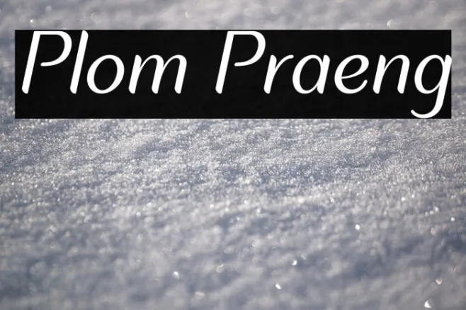 Plom Praeng Example 1