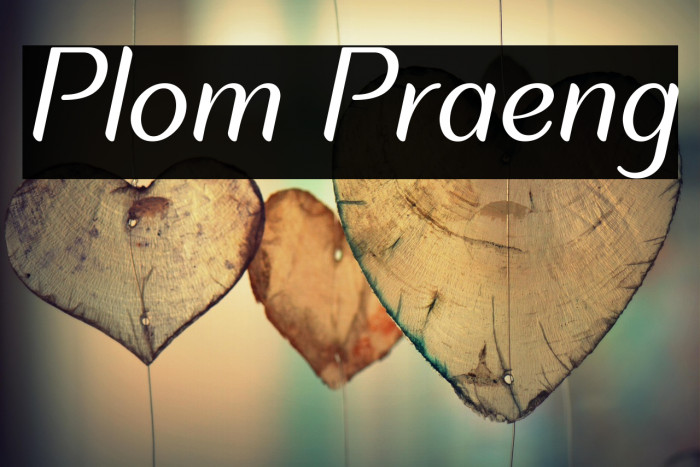 Plom Praeng Example 2