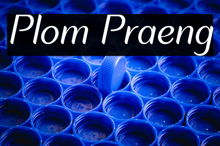 Plom Praeng Example 3