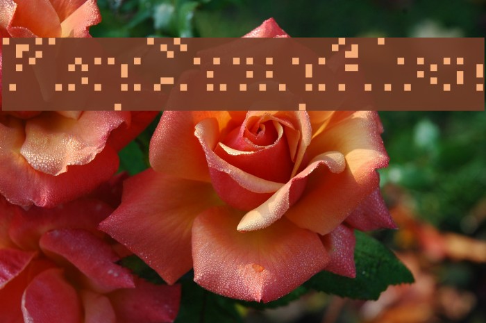 PlopDumpAlias Font examples