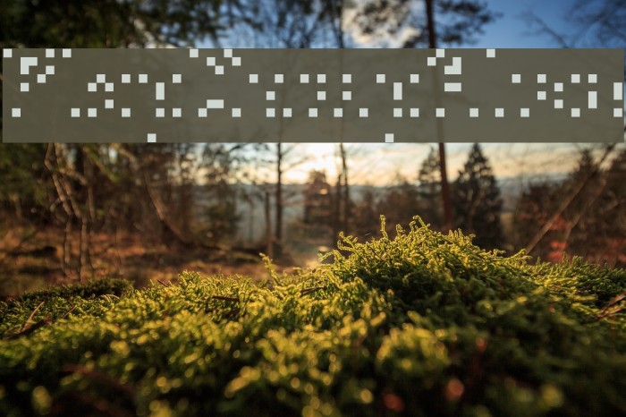 PlopDumpAlias Font examples