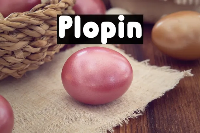 Plopin Example 3