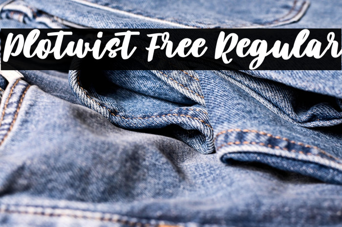 Plotwist Free Regular Example 3