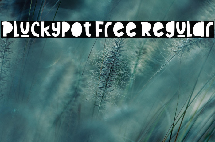 Pluckypot Free Regular Example 1