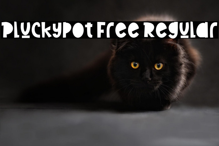 Pluckypot Free Regular Example 3