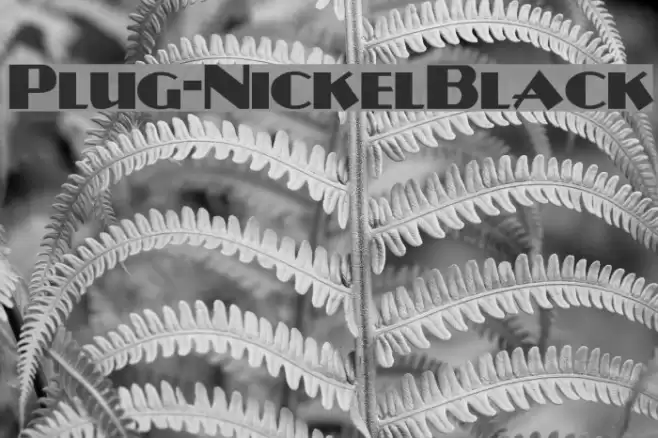 Plug-NickelBlack Font examples