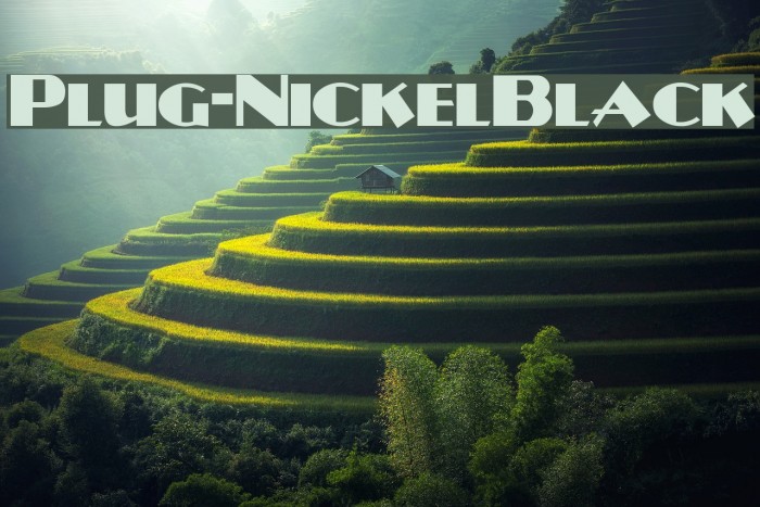 Plug-NickelBlack Font examples