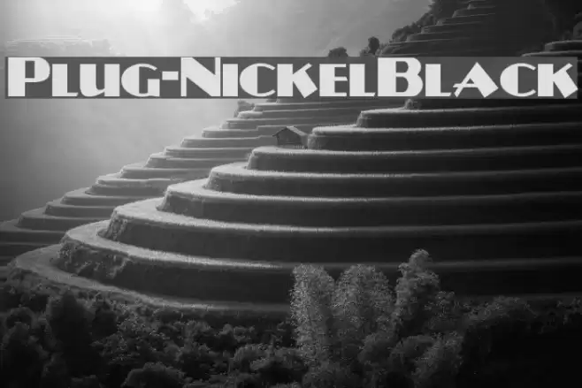 Plug-NickelBlack Font examples