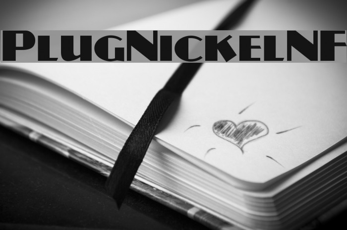 PlugNickelNF Font examples