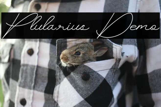 Plularius Demo Example 1