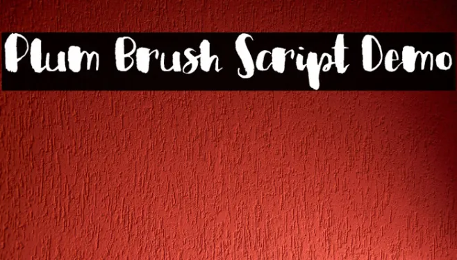 Plum Brush Script Demo Example 1