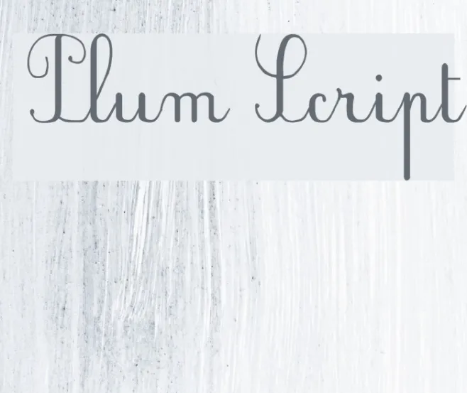 Plum Script Example 1