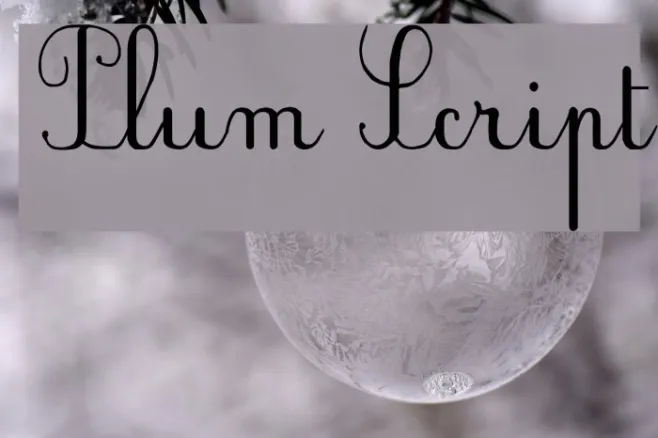 Plum Script Example 2
