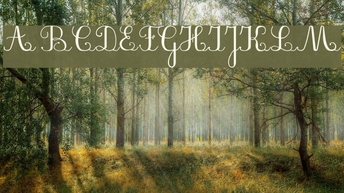 PlumBAL Font examples