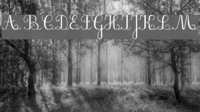 PlumBAL Font examples