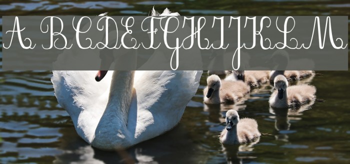 PlumNAE Font examples