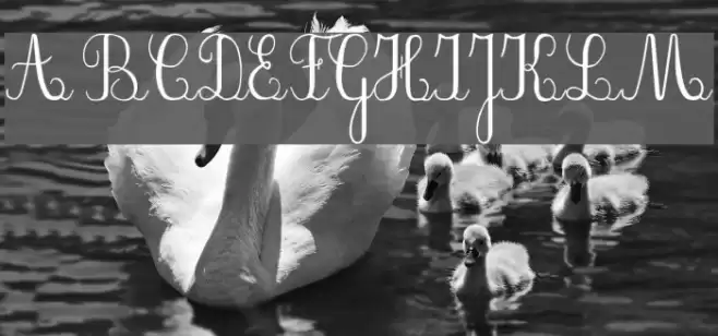 PlumNAE Font examples