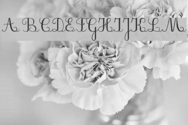 PlumNAL Font examples