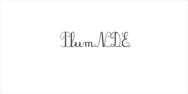 PlumNDE Logo