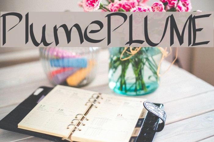 PlumePLUME Font examples