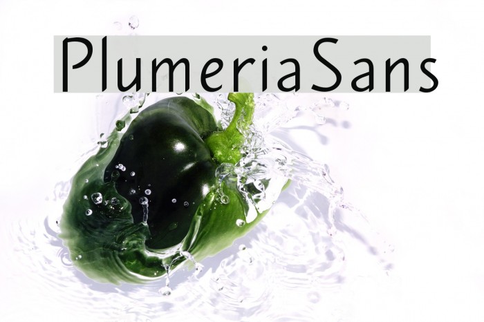 PlumeriaSans Font examples