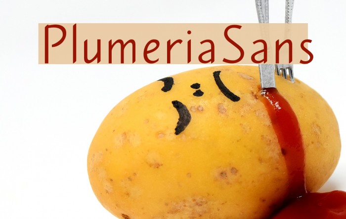 PlumeriaSans Font examples