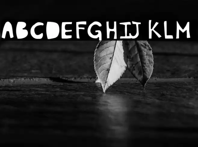 Plumon Font examples