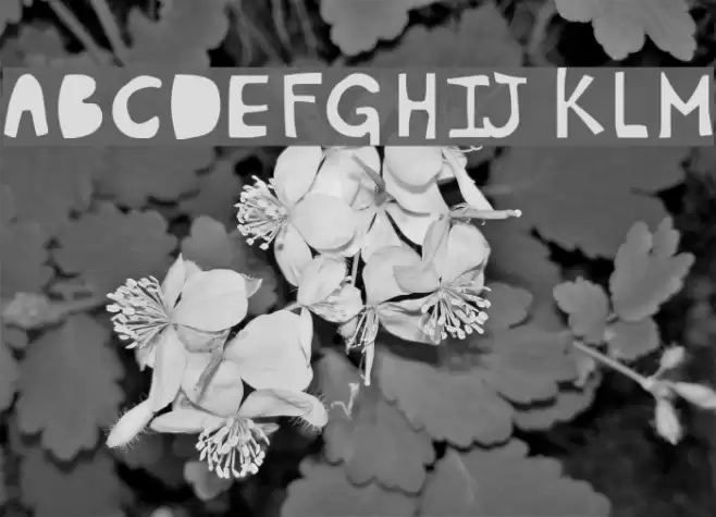 Plumon Font examples