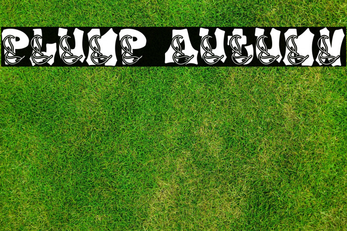 Plump Autumn Example 1