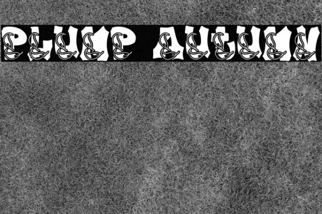 Plump Autumn Font examples