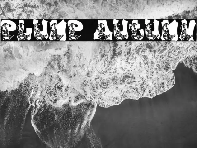 Plump Autumn Font examples