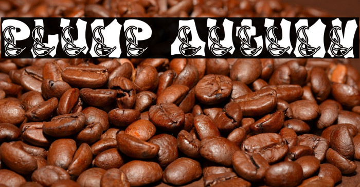 Plump Autumn Example 3