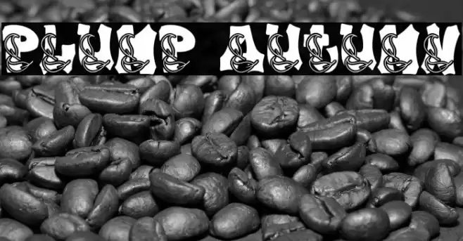 Plump Autumn Font examples