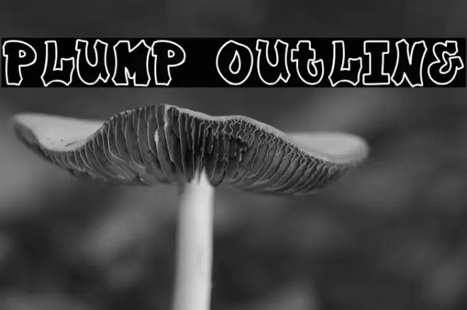 Plump Outline Font examples