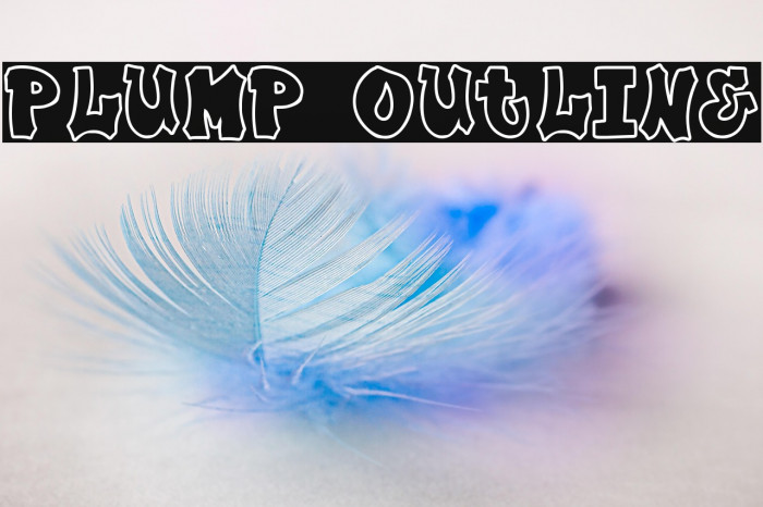 Plump Outline Example 2