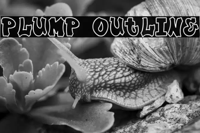 Plump Outline Font examples