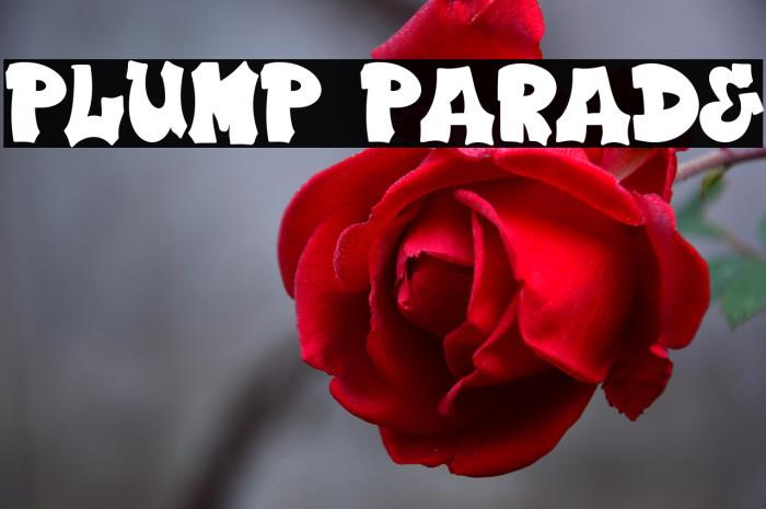Plump Parade Example 2