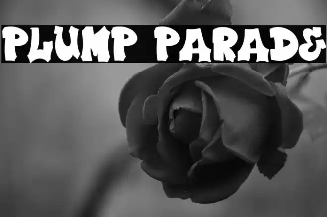 Plump Parade フォント examples