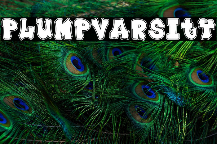 Plump Varsity Example 3