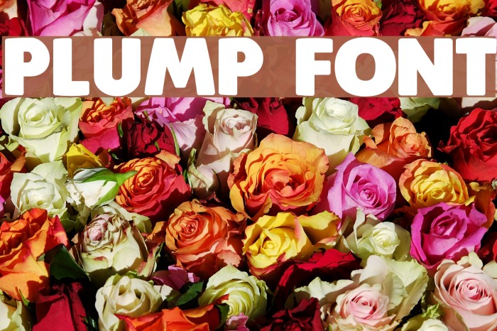 Plump Font examples